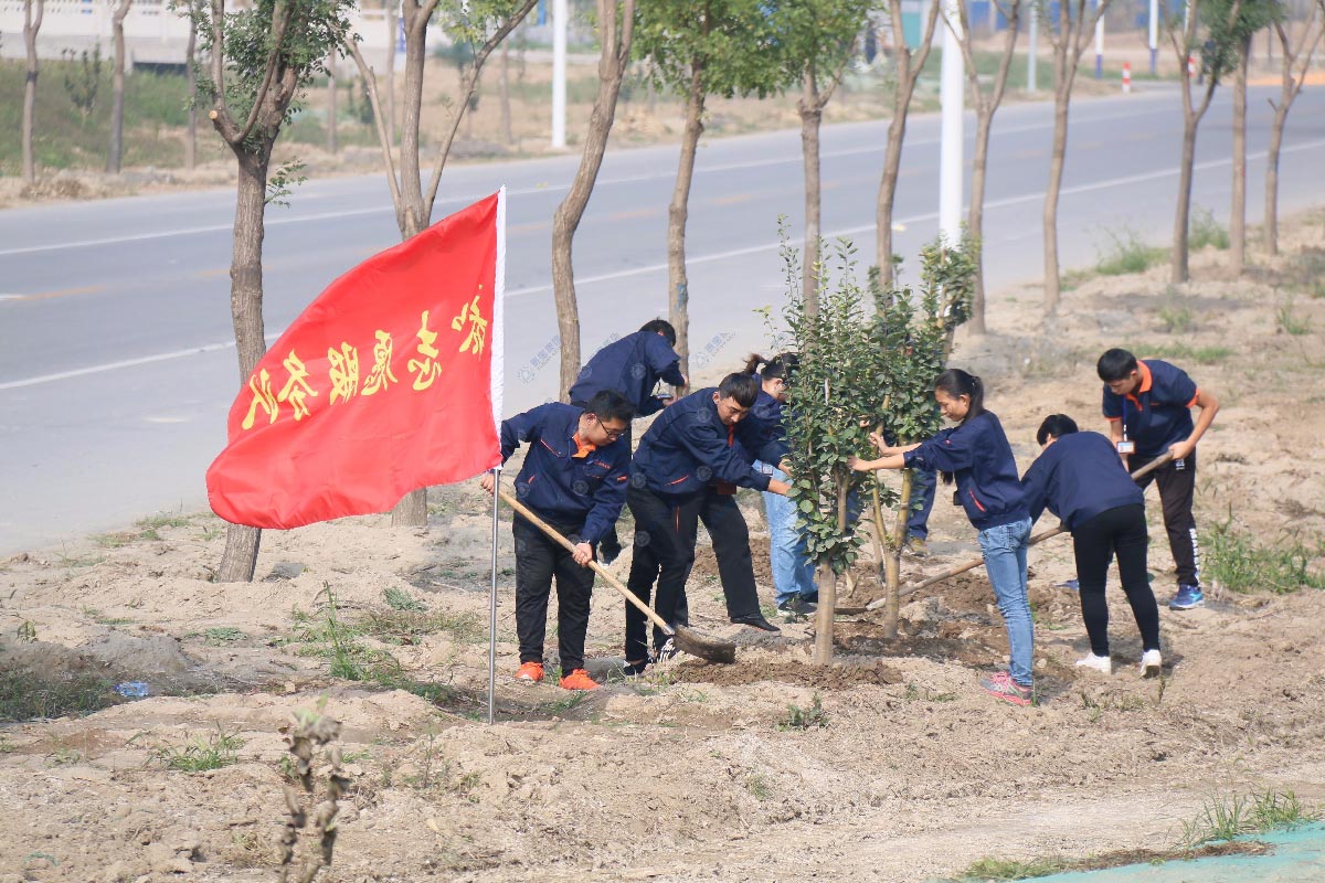 中国·维多利亚|品牌|官方网站-Official website